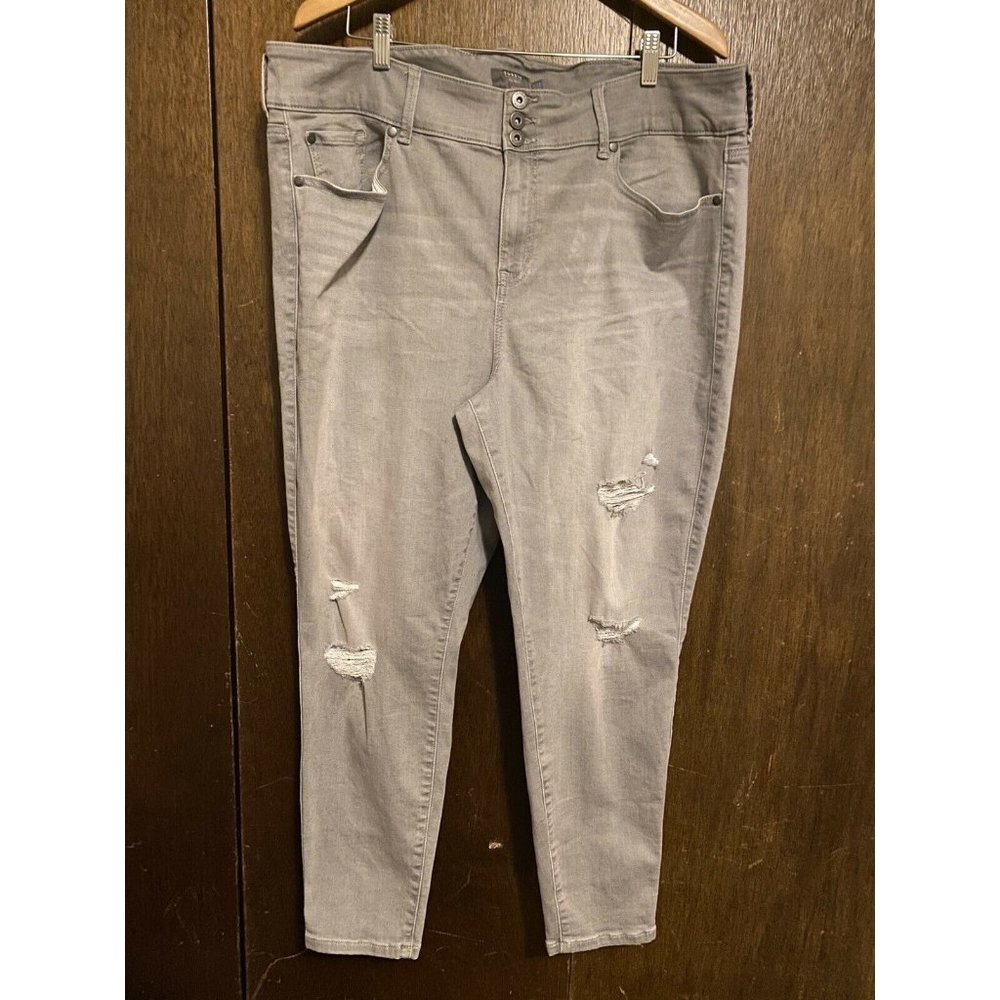 Womens Plus Size Torrid Jeggings Size 24R Gray